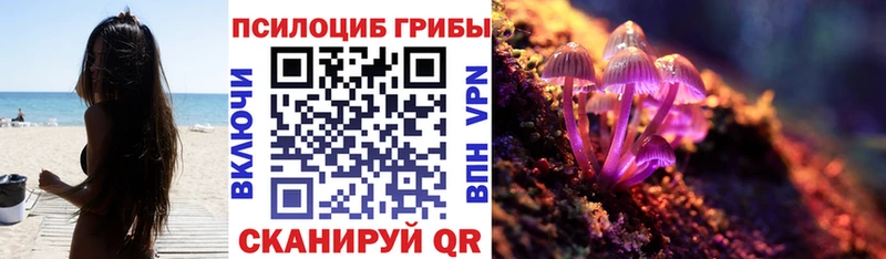 купить закладку kraken онион Псилоцибиновые грибы Psilocybe Дальнереченск
