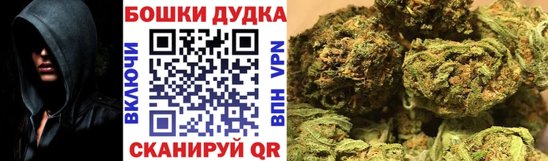 Конопля AK-47  где купить наркотик  блэк спрут онион  Дальнереченск 